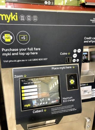 �����������ʪ �����ܥ�󡦥������ȥ�ꥢ