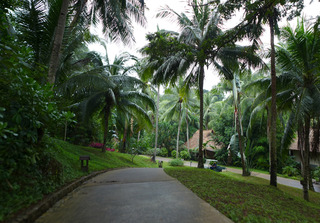 �Х��� �ĥ꡼ �ӥ󥿥� ��BANYAN TREE BINTAN�˻����� ������ɥͥ������ӥ󥿥���