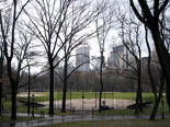 N.Y.のセントラル・パーク(Central park)