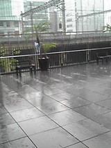 9e89c45d.JPG
