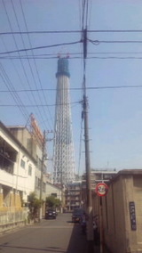 bccbc806.jpg