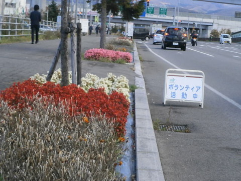 ボランティア作業中