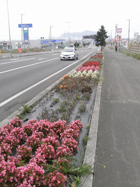花かいどう撤去前