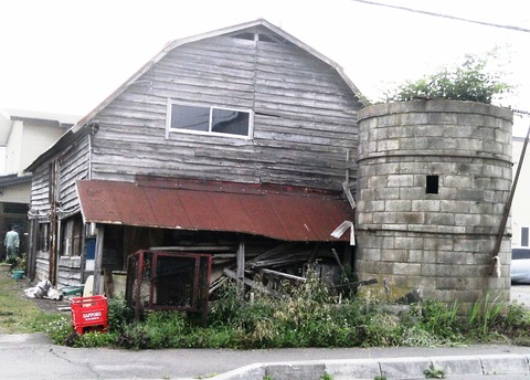 台風で屋根がとんで,木のある気になるサイロでした