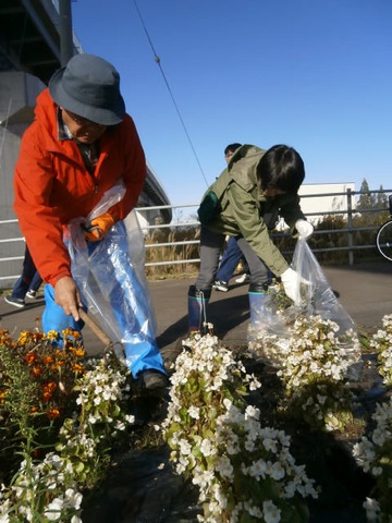 花よありがとう