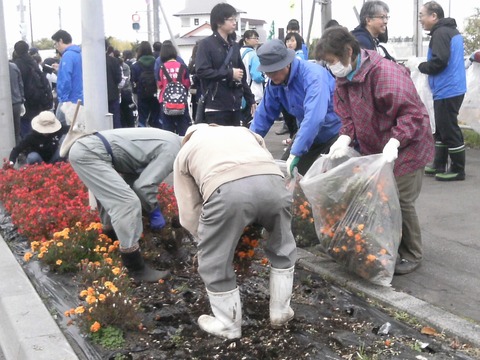 桔梗町会担当地域