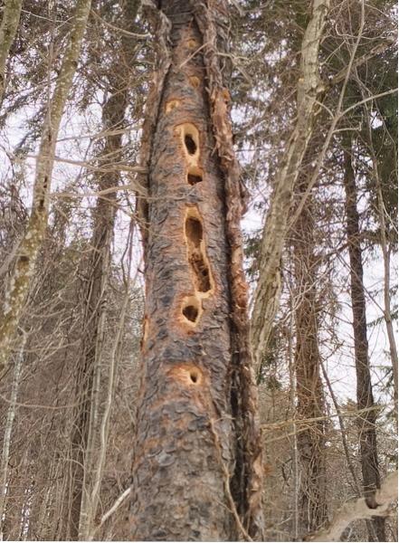 IMG_20260221_110018266