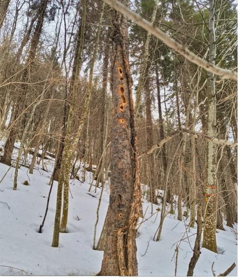 IMG_20260221_110002590