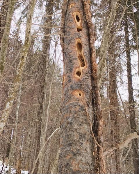 IMG_20260221_110015994