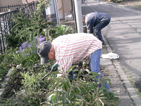 雑草をかき分けて。。