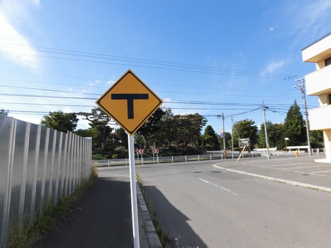 CIMG0264 A
