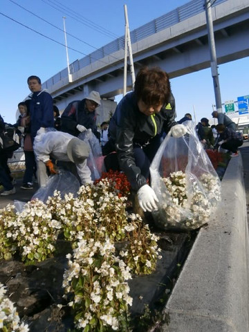 花を袋に入れて堆肥に
