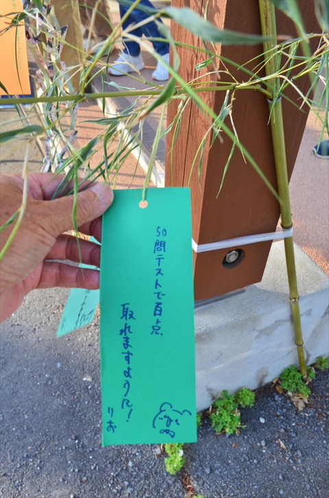 Tnbt003