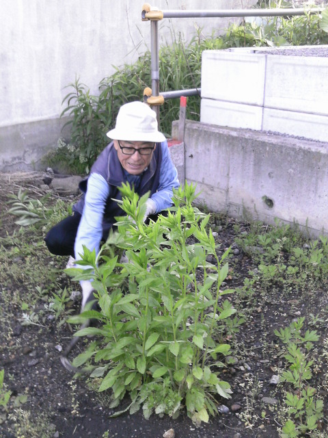 周りをきれいに