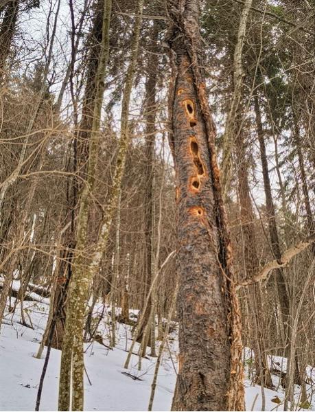 IMG_20260221_110009227