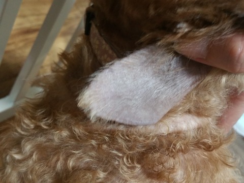 20190520_220757