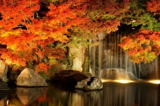 紅葉②