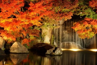 紅葉②