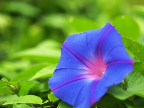 5a47b3e738aa7e0829137ac4ba6e202d_s
