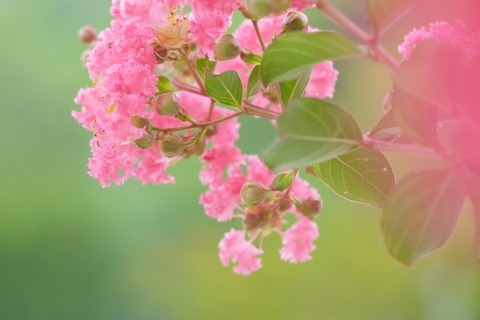 7c54a39aa25108e889c5ef29e313a2f3_s