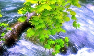 f5056464d95c3ffe7facf460277f51ae_s