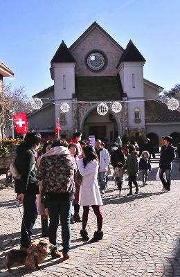 愛犬同伴のようす