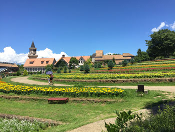 夏のパノラマ花壇