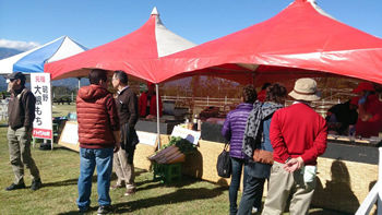 浅尾ダイコンまつり4