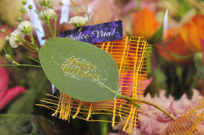 葉っぱにハッピーバースデー！
