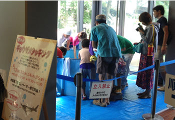 チョウザメタッチング