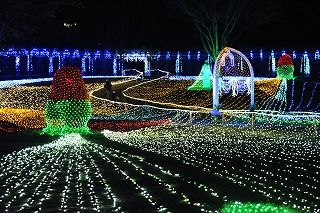 タワーブリッジからの眺め