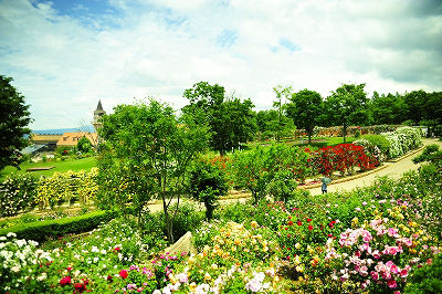 バラの園のバラづくし