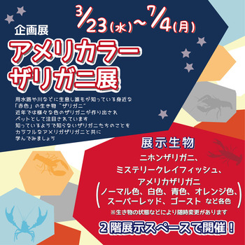 アメリカラーザリガニ展