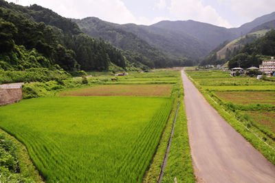 富士吉田ファーム