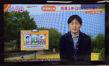 グッドモーニング