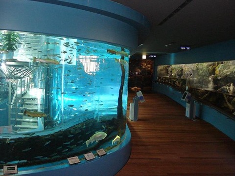 湧水の里写真 014