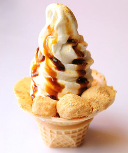 桔梗信玄ソフト2