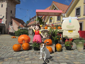 望月照子様「ハイジとハロウィン！！」