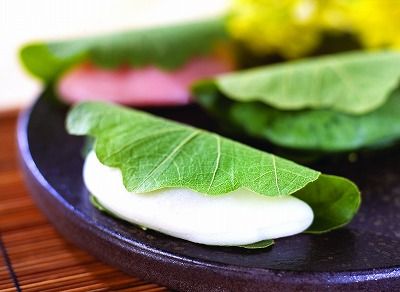 s-柏餅イメージ