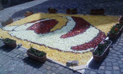 花びらヨーゼフ