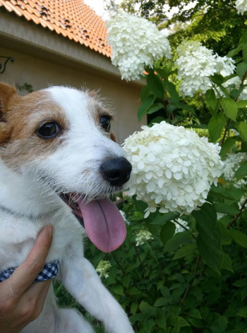 シルバー高田梨緒様「暑くてもへっちゃら」