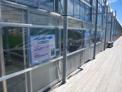 お野菜工場見学！