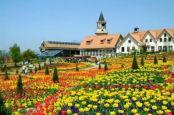 s-○チューリップS