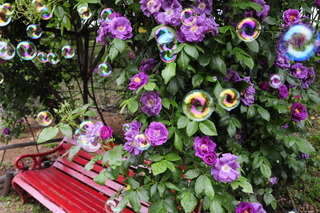 ★_DSC7794 - コピー