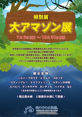 大アマゾン展