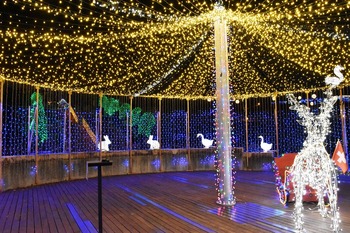 イルミネーション