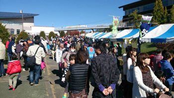 浅尾ダイコンまつり1