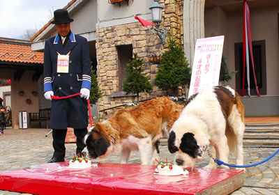 ヨーゼフ誕生日