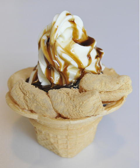 桔梗信玄ソフト