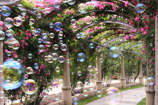 ★_DSC8424 - コピー